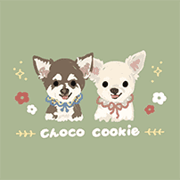 広島市のペットトリミングサロン｜やさしく寄り添う施術ならchoco cookie
